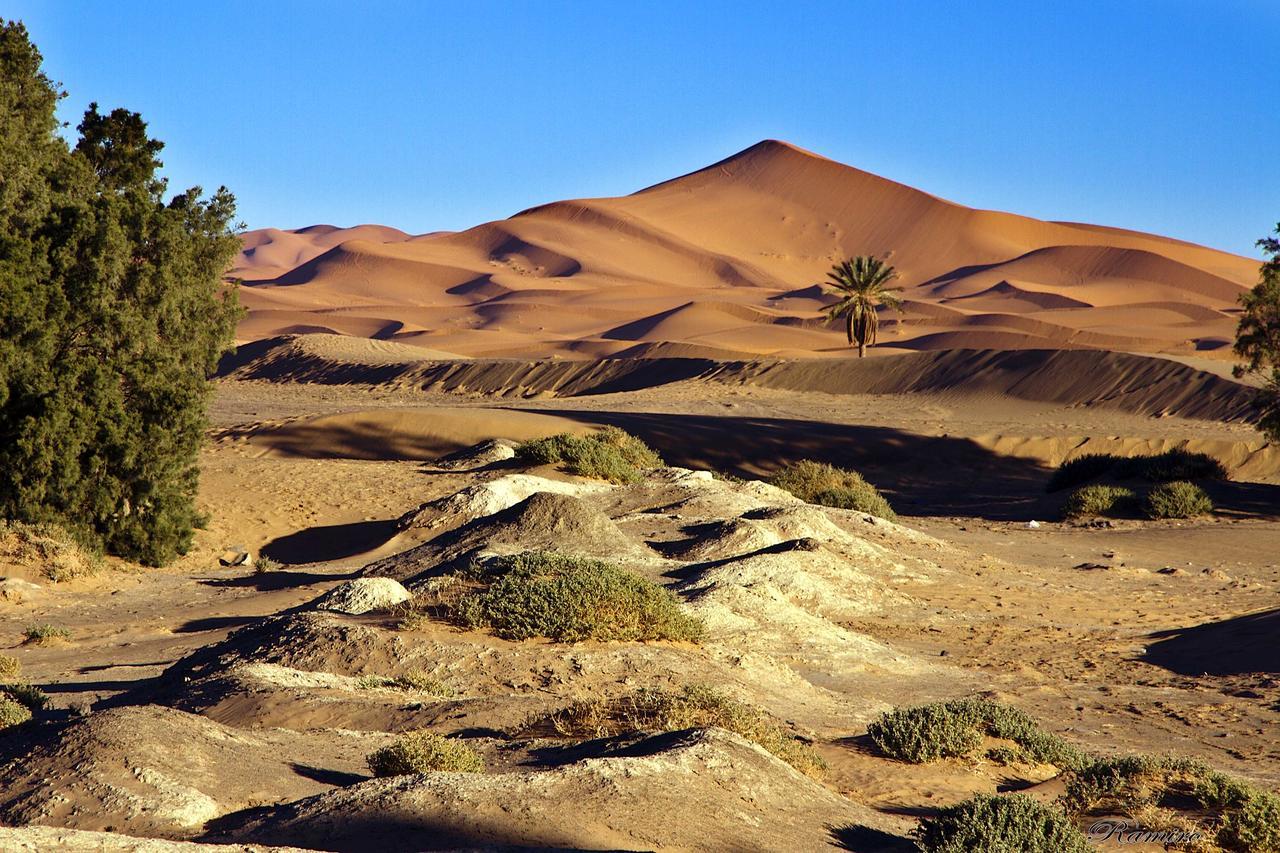 Riadsuerteloca Merzouga Hassilabied Luaran gambar The Sahara Desert